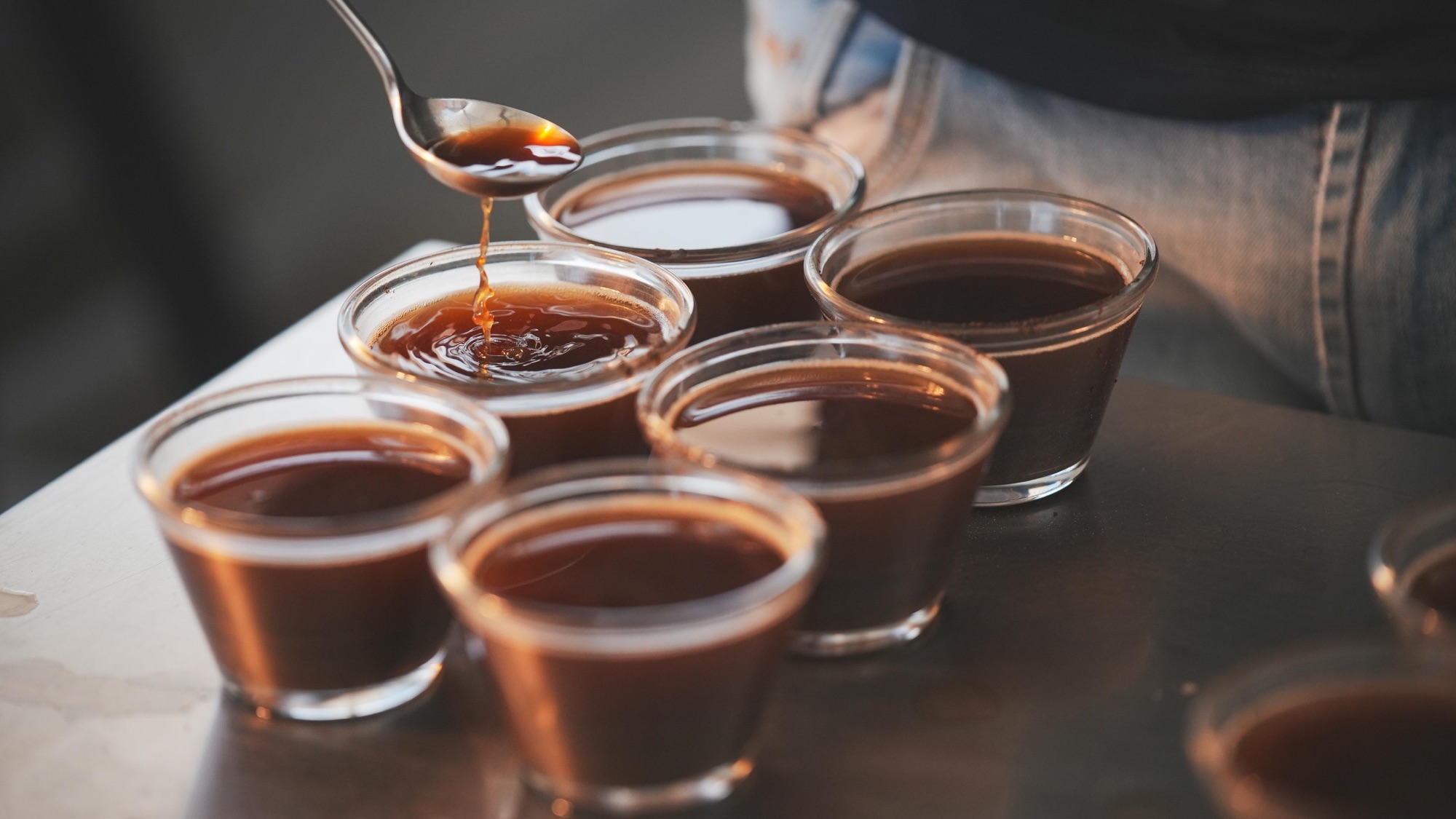 Especialistas apontam: ‘futuro do café baiano está na conexão e origem’